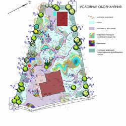 Проект озеленения участка - План по кустарникам
